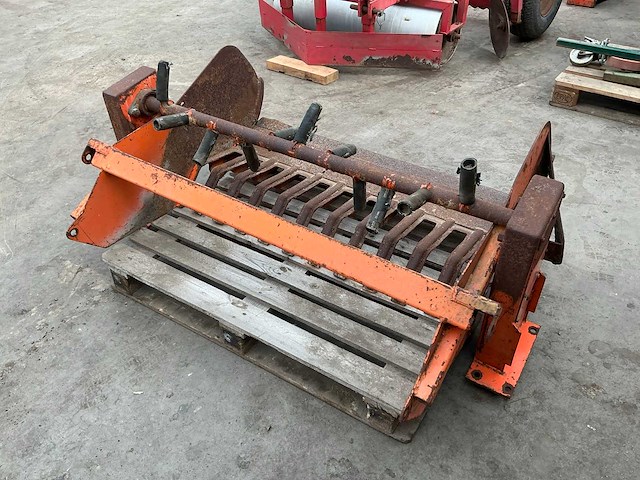 Rooibek - afbeelding 2 van  3