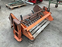 Rooibek - afbeelding 3 van  3