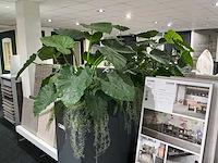 Roomdivider met kunstplanten - afbeelding 3 van  4