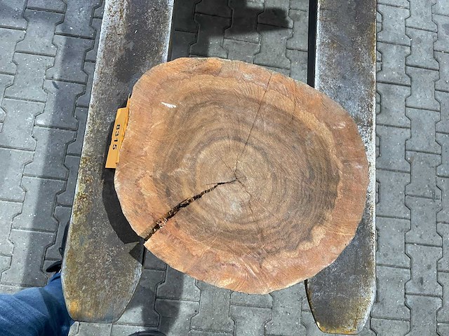 Rosewood schijf, dikte 60mm, ø 400mm - afbeelding 3 van  3