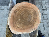 Rosewood schijf, dikte 65mm, ø 450mm - afbeelding 3 van  3