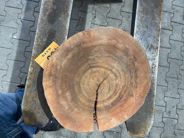 Rosewood schijf, dikte 70mm, ø 350mm - afbeelding 3 van  3