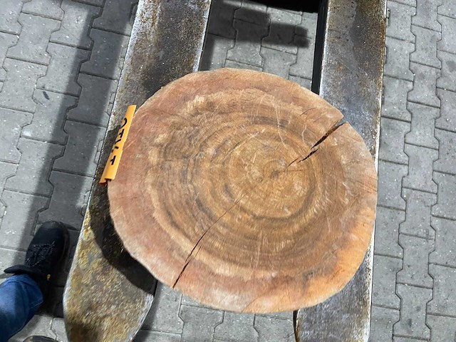 Rosewood schijf, dikte 70mm, ø 350mm - afbeelding 3 van  3