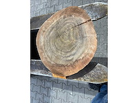 Rosewood schijf, dikte 70mm, ø 400mm - afbeelding 2 van  3