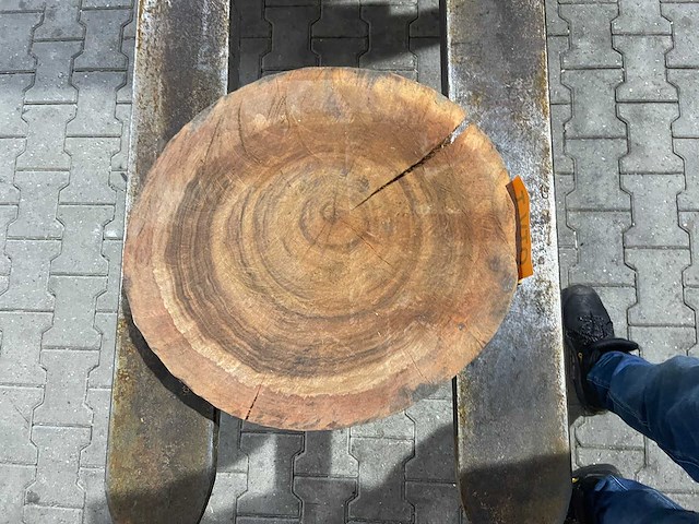 Rosewood schijf, dikte 70mm, ø 400mm - afbeelding 3 van  3