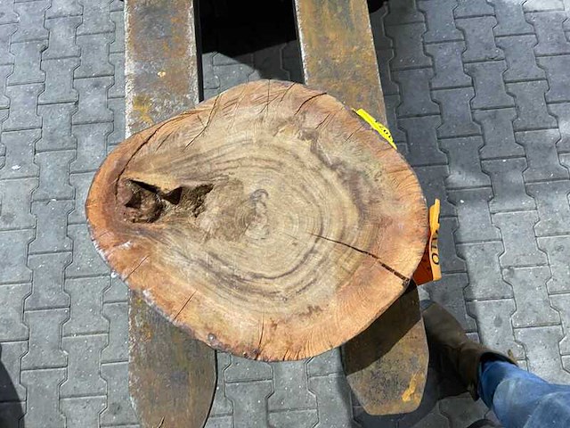 Rosewood schijf, dikte 70mm, ø 450mm - afbeelding 1 van  3