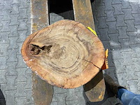 Rosewood schijf, dikte 70mm, ø 450mm - afbeelding 1 van  3