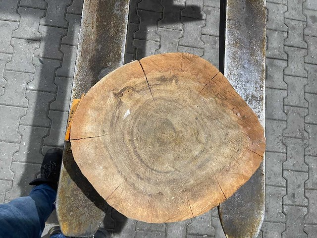 Rosewood schijf, dikte 70mm, ø 450mm - afbeelding 3 van  3