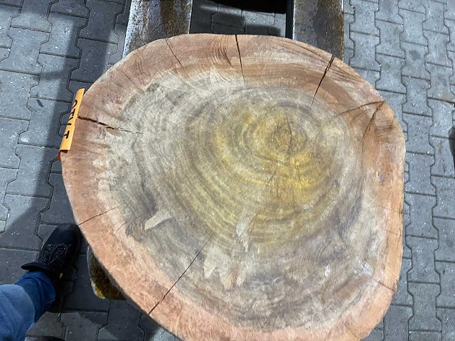 Rosewood schijf, dikte 70mm, ø 550mm - afbeelding 3 van  3