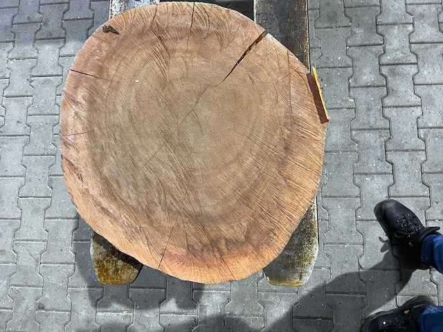 Rosewood schijf, dikte 70mm, ø 550mm - afbeelding 3 van  3