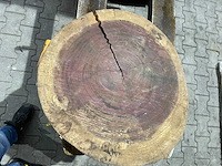 Rosewood schijf, dikte 70mm, ø 550mm - afbeelding 3 van  3