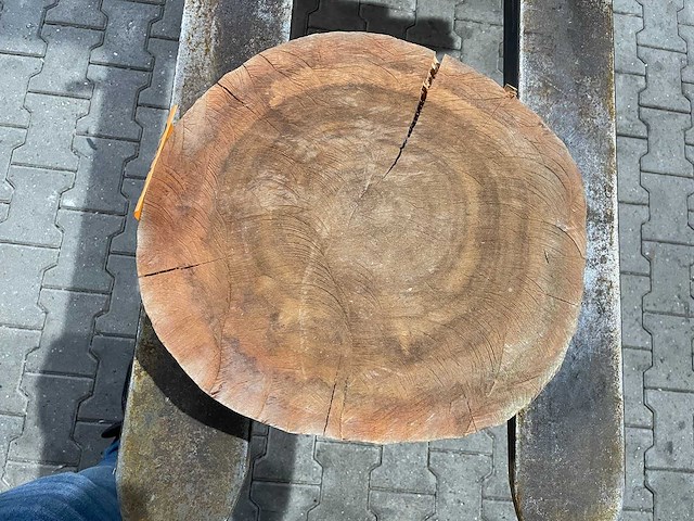 Rosewood schijf, dikte 75mm, ø 400mm - afbeelding 3 van  3