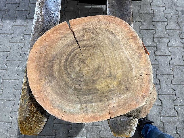 Rosewood schijf, dikte 75mm, ø 450mm - afbeelding 3 van  3