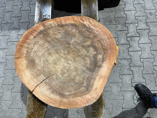 Rosewood schijf, dikte 75mm, ø 550mm - afbeelding 3 van  3
