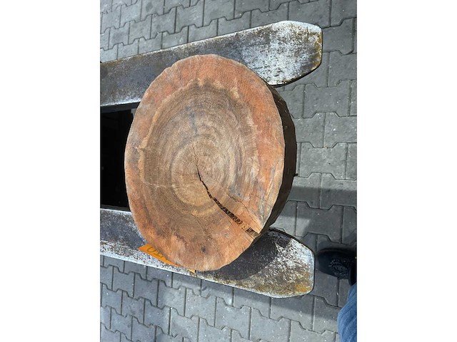 Rosewood schijf, dikte 80mm, ø 350mm - afbeelding 2 van  3