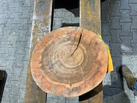 Rosewood schijf, dikte 80mm, ø 350mm - afbeelding 1 van  3
