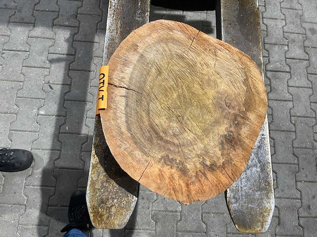 Rosewood schijf, dikte 80mm, ø 400mm - afbeelding 3 van  3