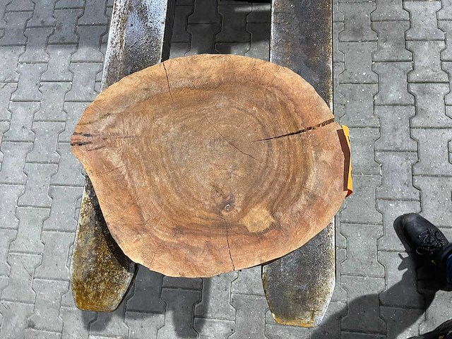 Rosewood schijf, dikte 80mm, ø 400mm - afbeelding 3 van  3