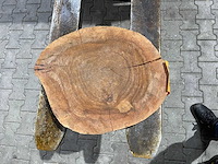 Rosewood schijf, dikte 80mm, ø 400mm - afbeelding 3 van  3