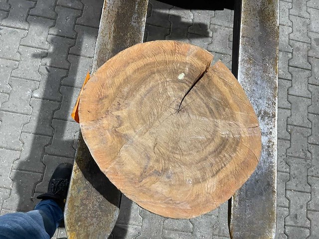 Rosewood schijf, dikte 80mm, ø 400mm - afbeelding 3 van  3