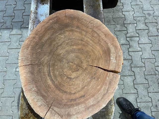 Rosewood schijf, dikte 80mm, ø 550mm - afbeelding 3 van  3