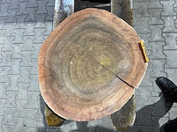 Rosewood schijf, dikte 80mm, ø 550mm - afbeelding 3 van  3