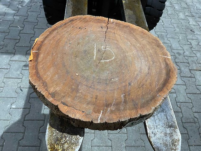 Rosewood schijf, dikte 80mm, ø 550mm - afbeelding 2 van  3