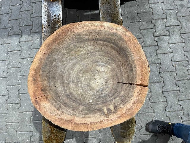 Rosewood schijf, dikte 80mm, ø 550mm - afbeelding 3 van  3