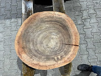 Rosewood schijf, dikte 80mm, ø 550mm - afbeelding 3 van  3