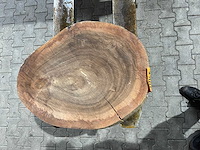 Rosewood schijf, dikte 80mm, ø 600mm - afbeelding 3 van  3