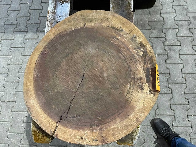 Rosewood schijf, dikte 80mm, ø 600mm - afbeelding 3 van  3