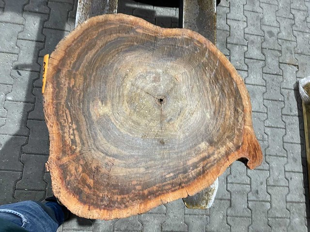 Rosewood schijf, dikte 85mm, ø 550mm - afbeelding 3 van  3
