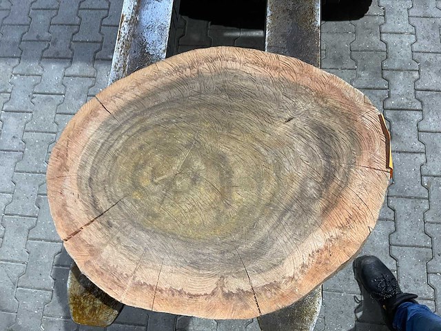 Rosewood schijf, dikte 85mm, ø 550mm - afbeelding 3 van  3