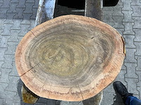 Rosewood schijf, dikte 85mm, ø 550mm - afbeelding 3 van  3