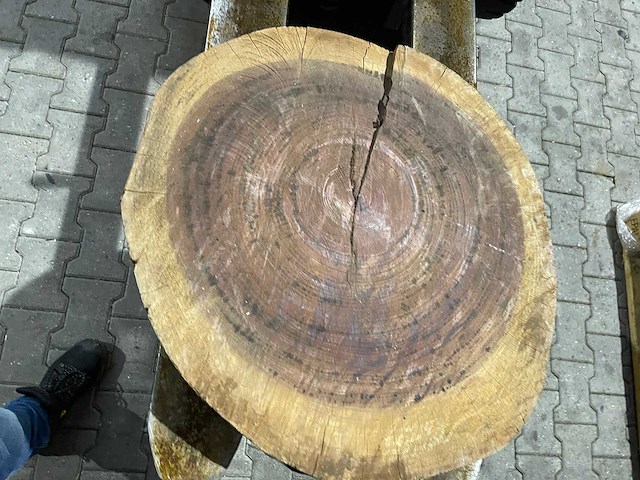 Rosewood schijf, dikte 95mm, ø 550mm - afbeelding 3 van  3