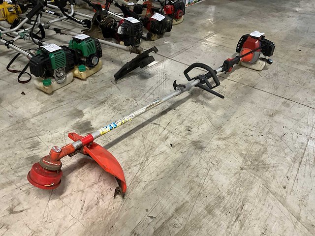 Rotfuchs mft52 bosmaaier - afbeelding 1 van  3