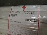 Rotheigner - s8 type 22 - vlakke paneelradiator 60x120cm - afbeelding 3 van  3