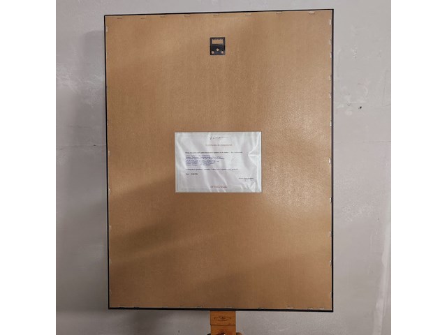 Roy lichtenstein lithograaf ''despair'' - limited edition - afbeelding 5 van  6