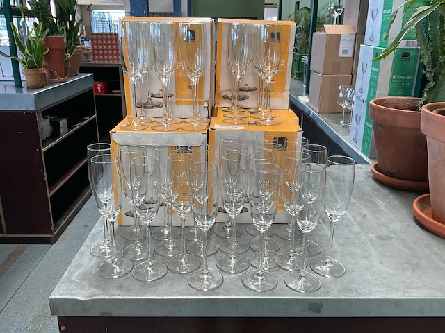 Royal leerdam plaza champagne glas (100x) - afbeelding 1 van  2