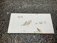 Royal mosa - 30x15 cm - 5 m2 - wandtegels - afbeelding 2 van  5