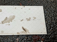 Royal mosa - iso 9001 - 30x15 cm - 5 m2 - partij wandtegel - afbeelding 1 van  1