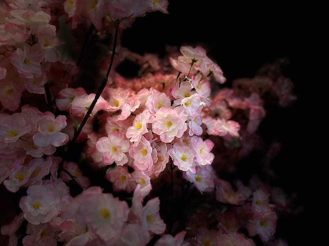 Royal pachira kersen bloesem kunstboom - afbeelding 6 van  17