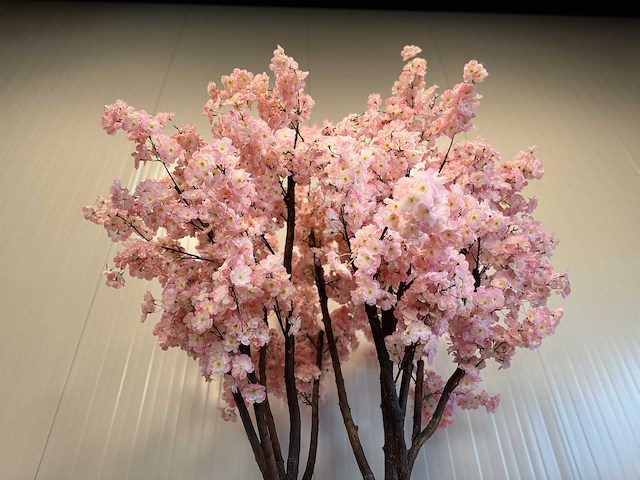 Royal pachira kersen bloesem kunstboom - afbeelding 16 van  17