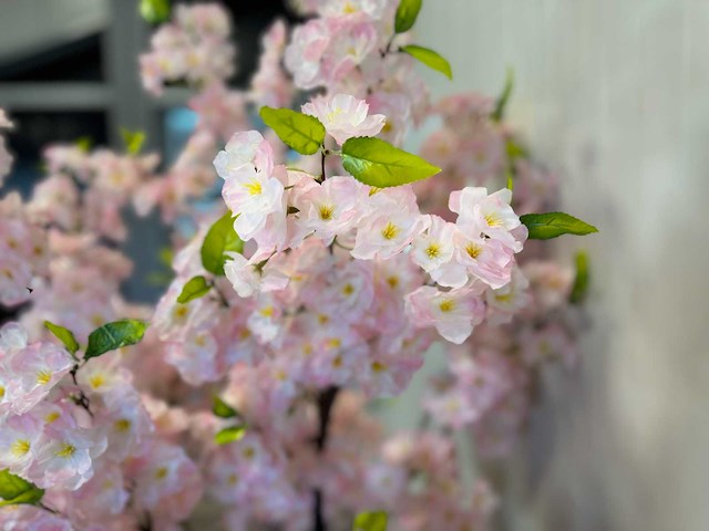 Royal pachira kersen bloesem kunstboom - afbeelding 3 van  18