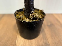 Royal pachira kersen bloesem kunstboom - afbeelding 9 van  18