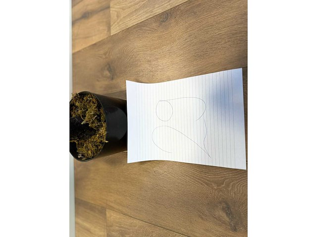 Royal pachira kersen bloesem kunstboom - afbeelding 10 van  18