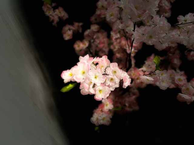 Royal pachira kersen bloesem kunstboom - afbeelding 3 van  16