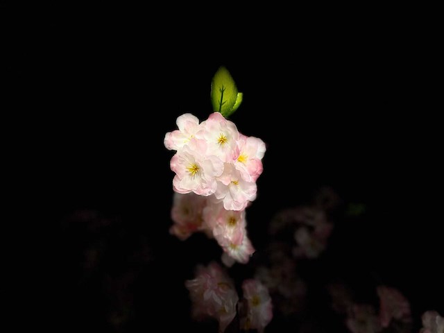 Royal pachira kersen bloesem kunstboom - afbeelding 4 van  16