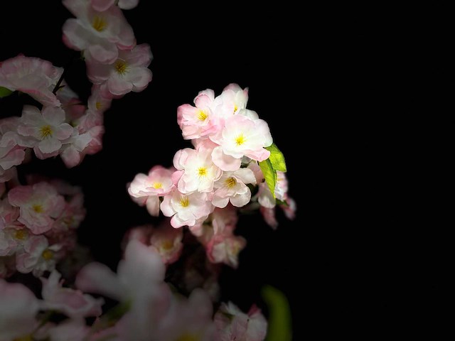 Royal pachira kersen bloesem kunstboom - afbeelding 5 van  16