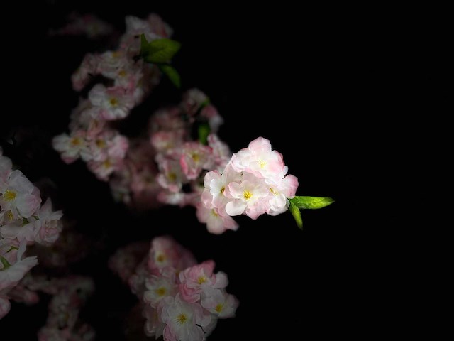 Royal pachira kersen bloesem kunstboom - afbeelding 6 van  16